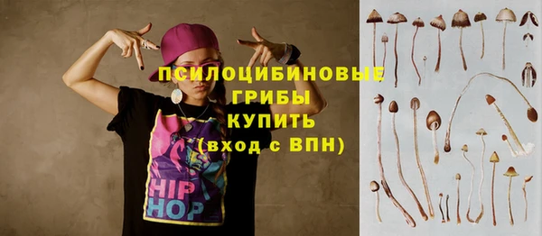 не бодяженный Снежногорск