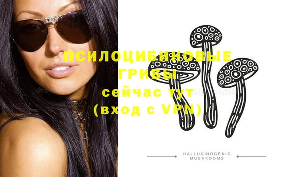 не бодяженный Снежногорск