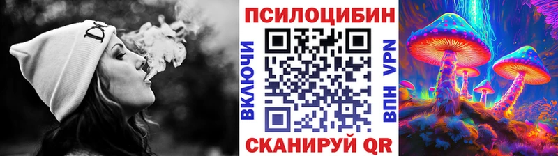 Галлюциногенные грибы Cubensis  Купить закладки  Цивильск 